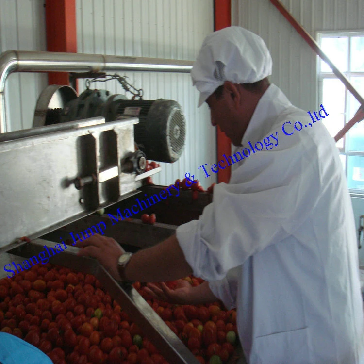 500kg Processing Capacity Tomato Sauce Mixing Vessel Tank